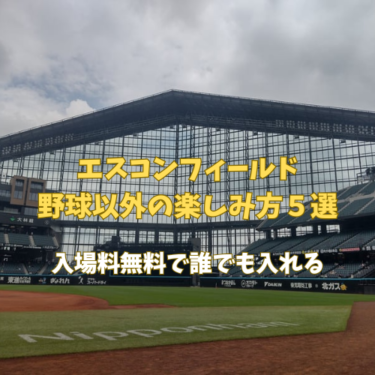 エスコンフィールド野球以外の楽しみ方5選！入場無料で誰でも入れる【写真18枚で紹介】